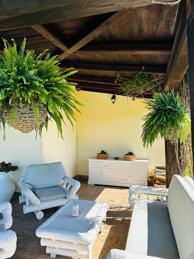 Chanel Garden Relaxation Home Formello Eksteriør billede